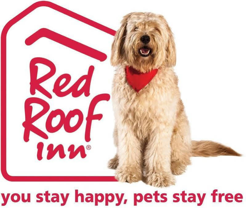 Red Roof Inn Plus+ Columbus-Ohio State University Osu Exteriör bild